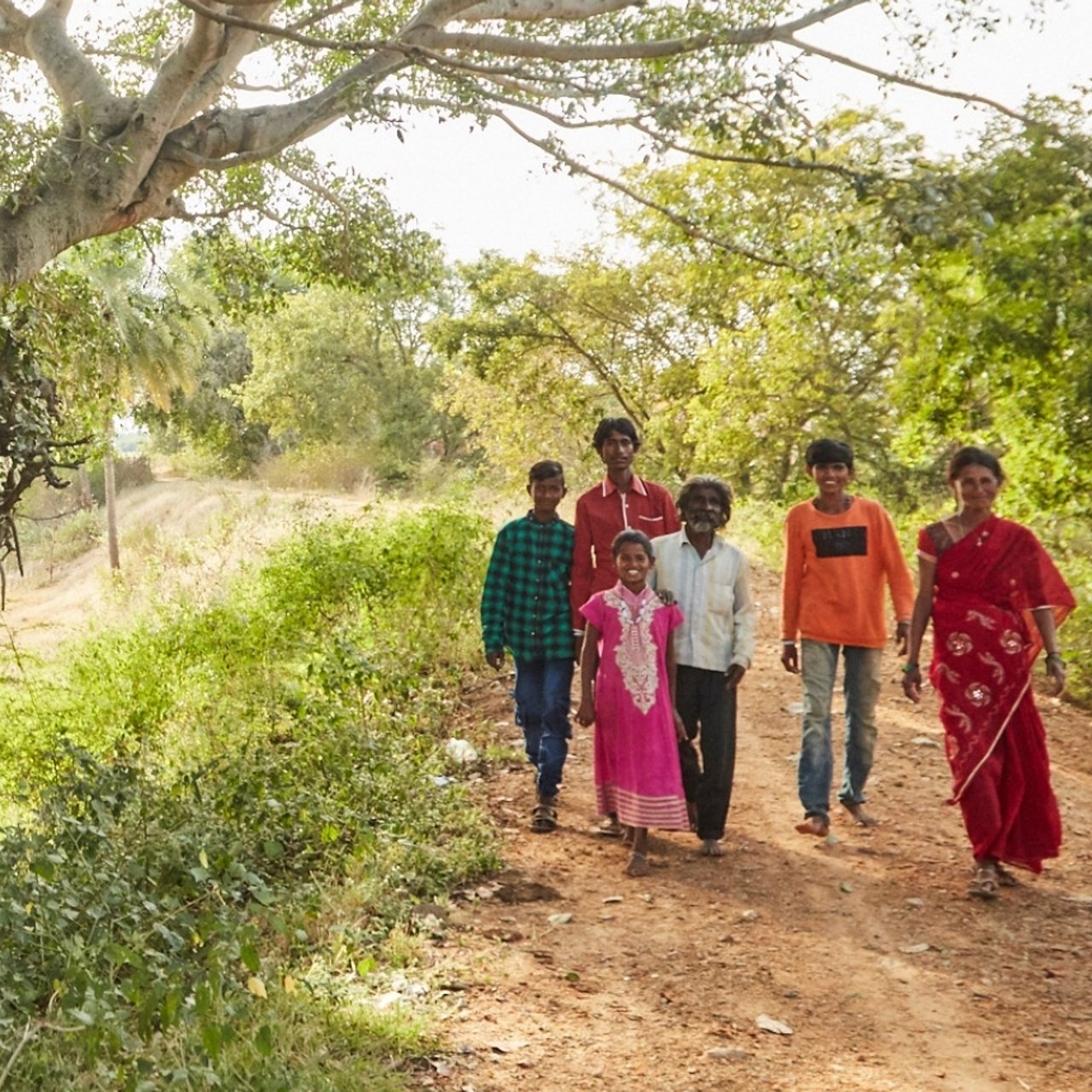 21 C2 Image Gallery1