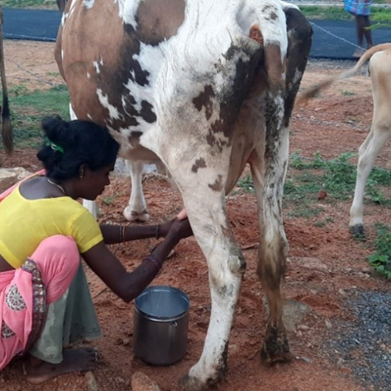 BN IJM Meesanallur 6