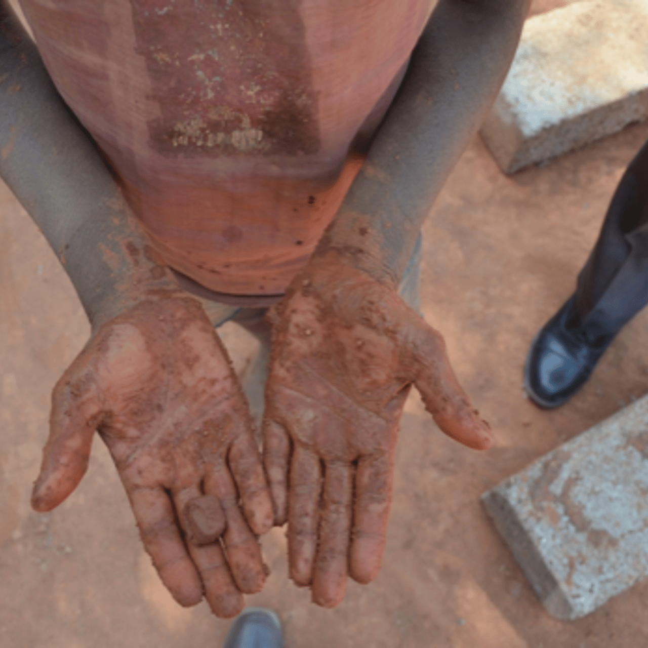 Tree Cutting Facilities