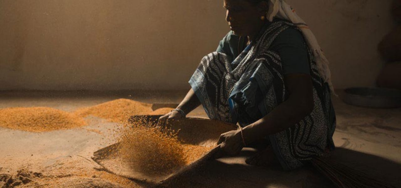 2019 Rice Mill South Asia