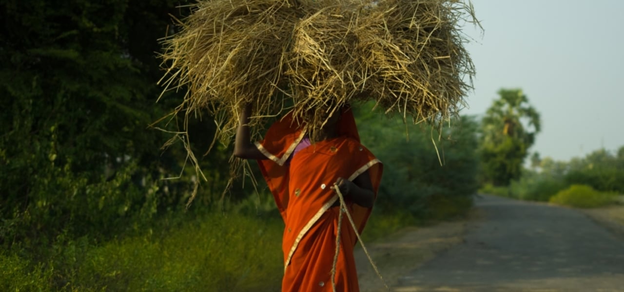 JS 20161110 031454 201611 CHE Landscape Approved for Full Use