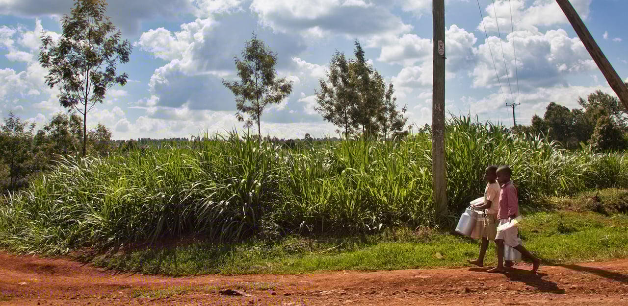 121111 Mama Rahab WEB 035 jpg 201211 NAI Kenya environmental shots Approved for Full Use bn