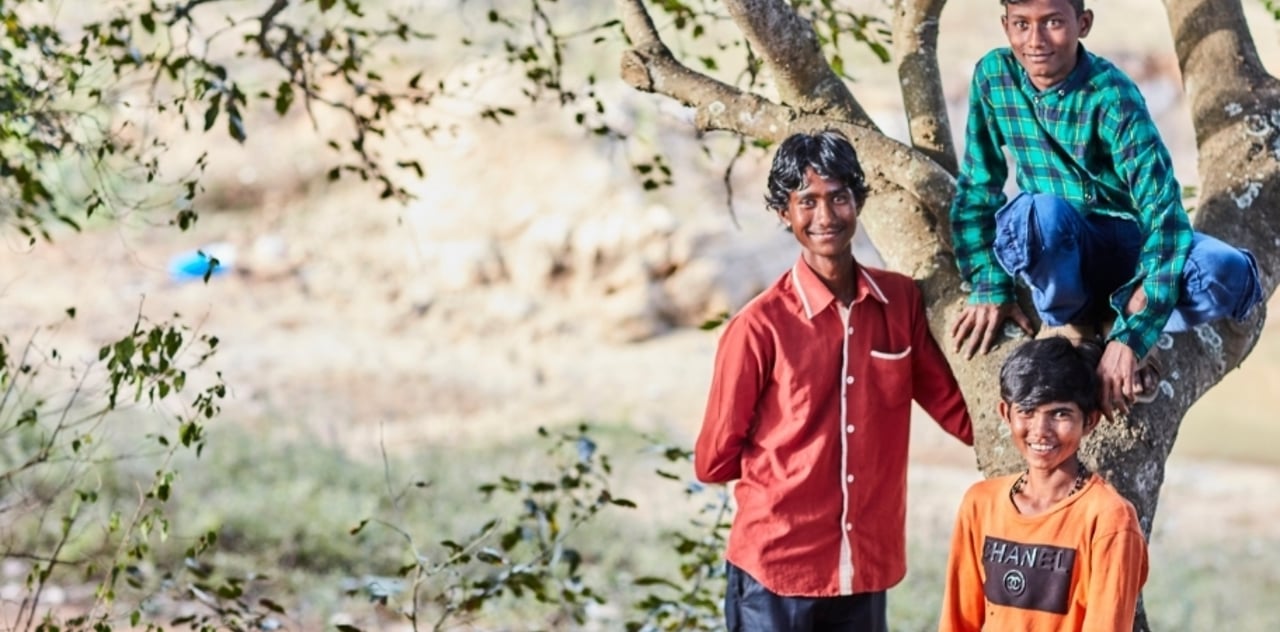 21 C2 Image Gallery3 1