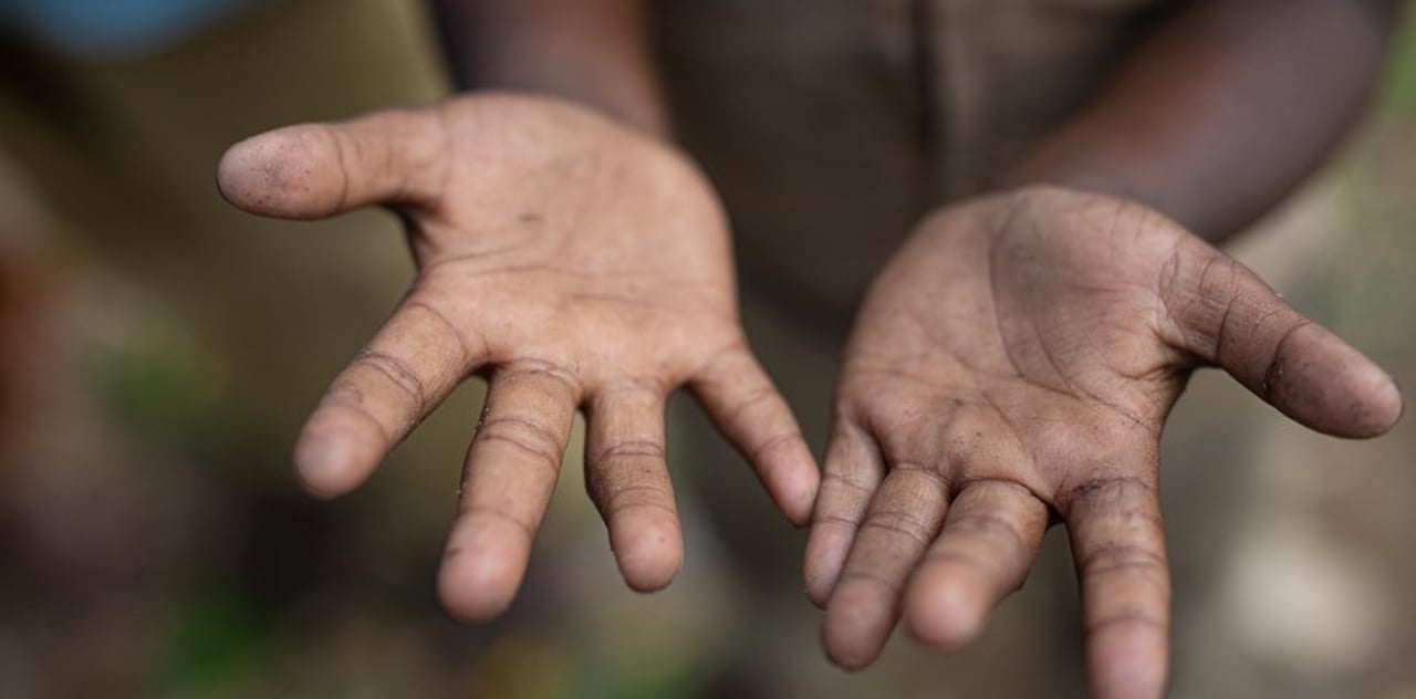 K4 A7279 201907 CHE Natraj and Prashanth Wood Cutting Rescues Approved for Full Use