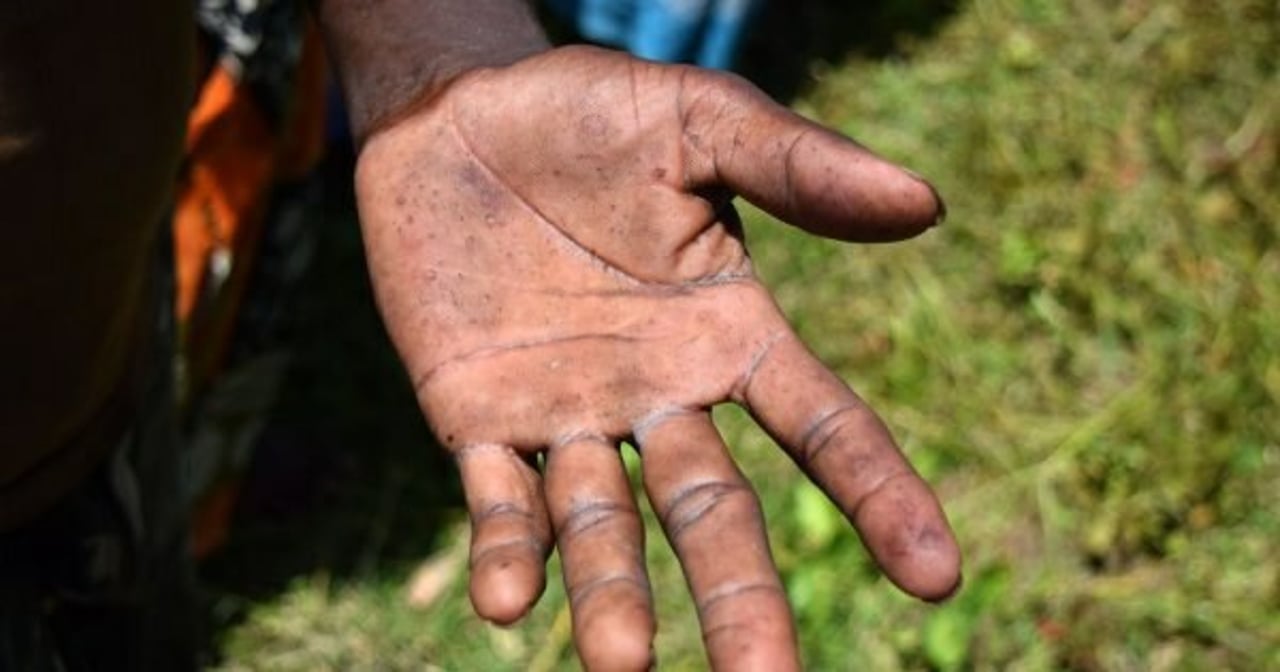 Lumber2 180822 181728