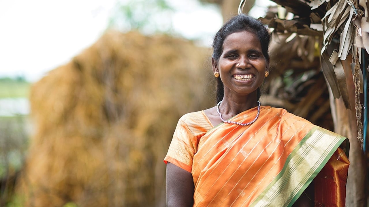 Live Boldly banner 1