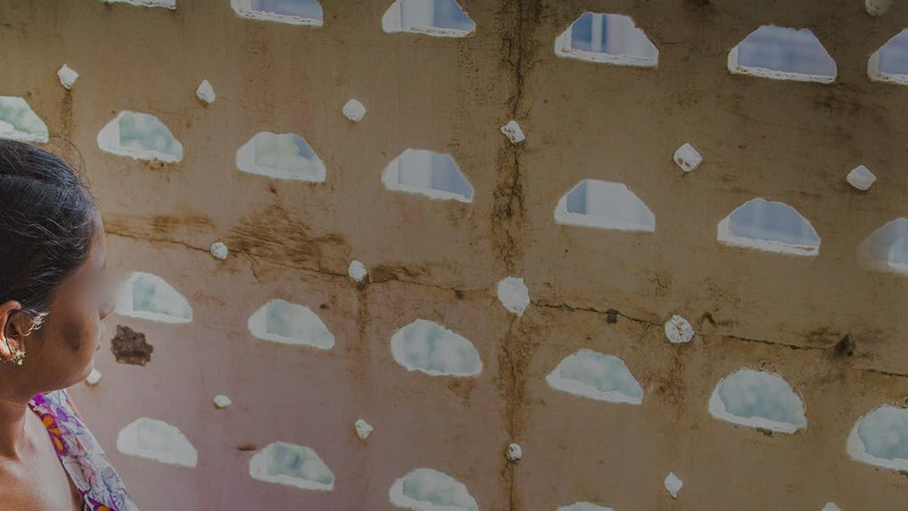 December Sani Header No Text png