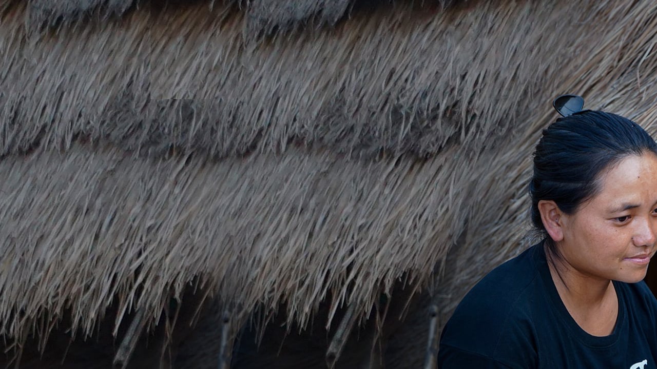 August Meeyu Header notext 4