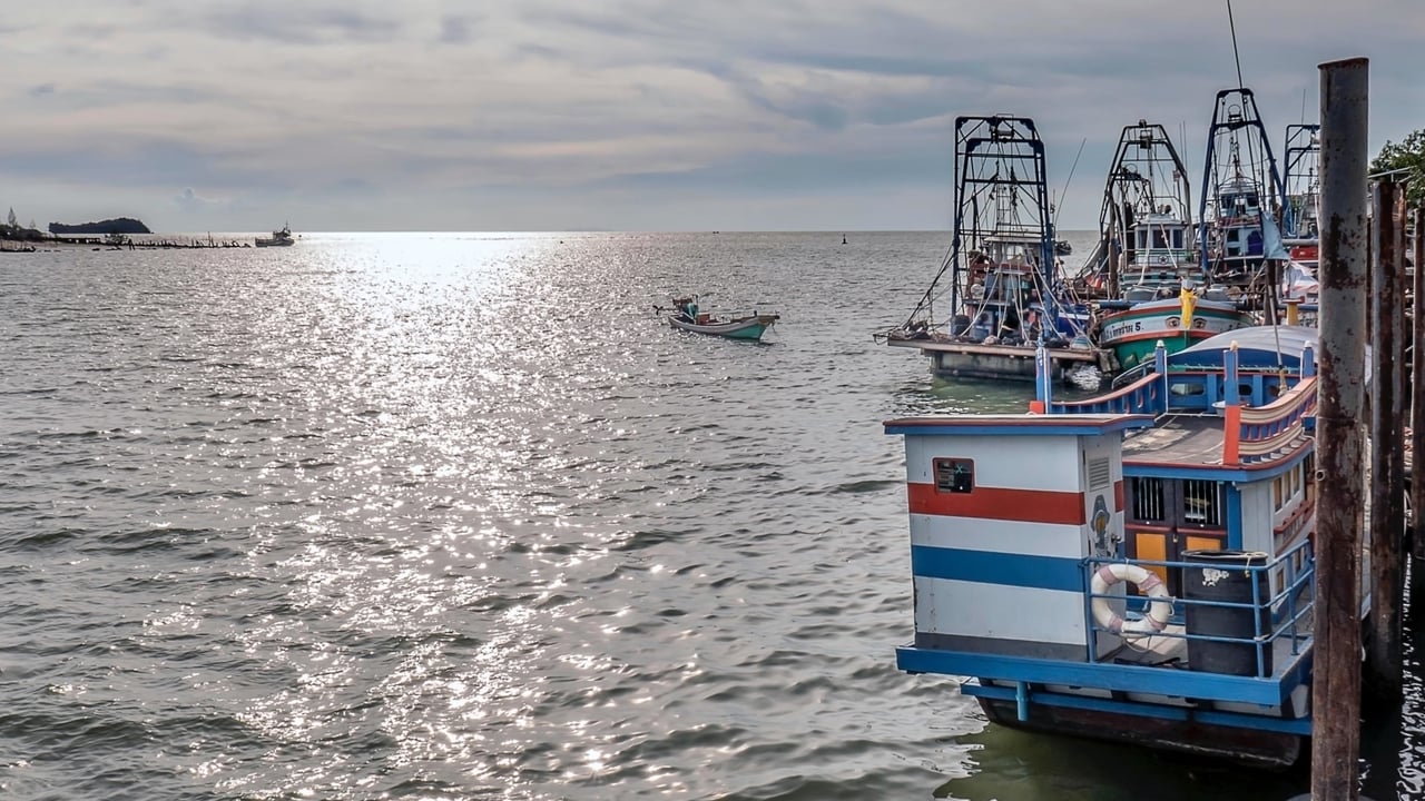 052519 DS 08 jpg 201905 BAN Stock Approved for Full Use