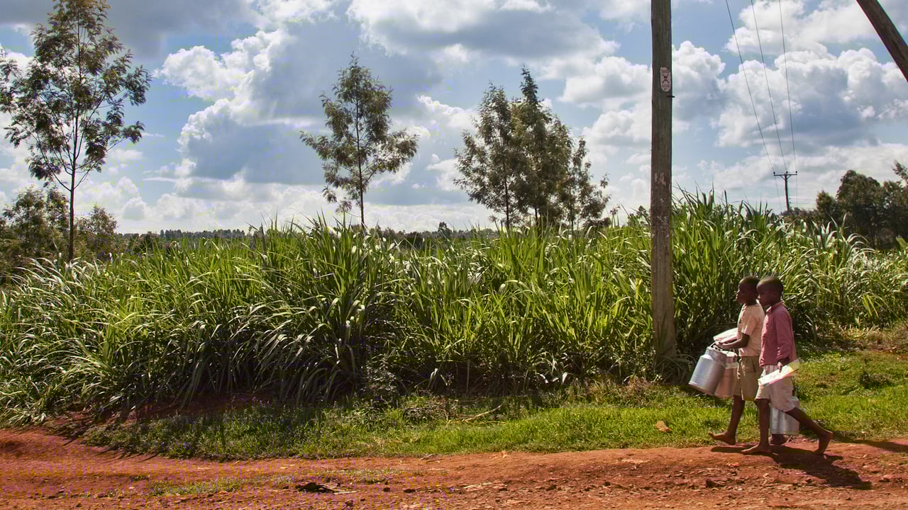 121111 Mama Rahab WEB 035 jpg 201211 NAI Kenya environmental shots Approved for Full Use bn