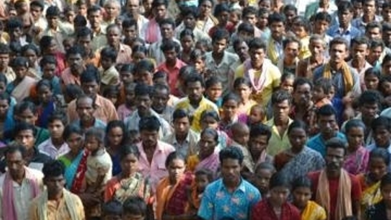 2011 05 13 news article 1 1 0