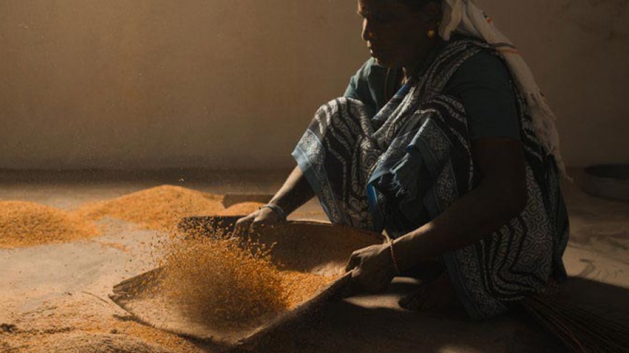 2019 Rice Mill South Asia