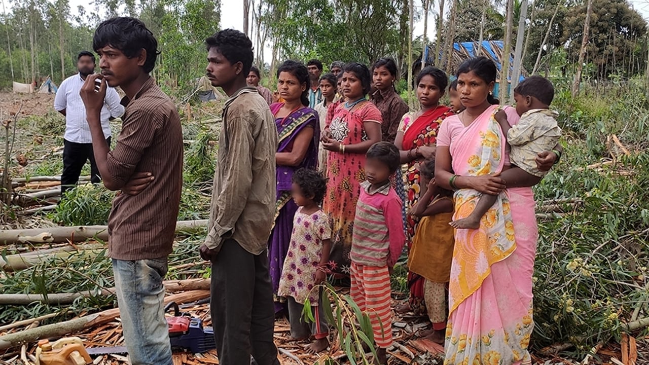 2019 11 Anekal Wood Cutting Rescue 01