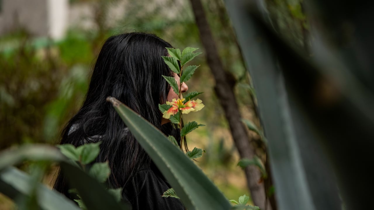 Billie 202404 BO Survivor Billie Approved for Full Use