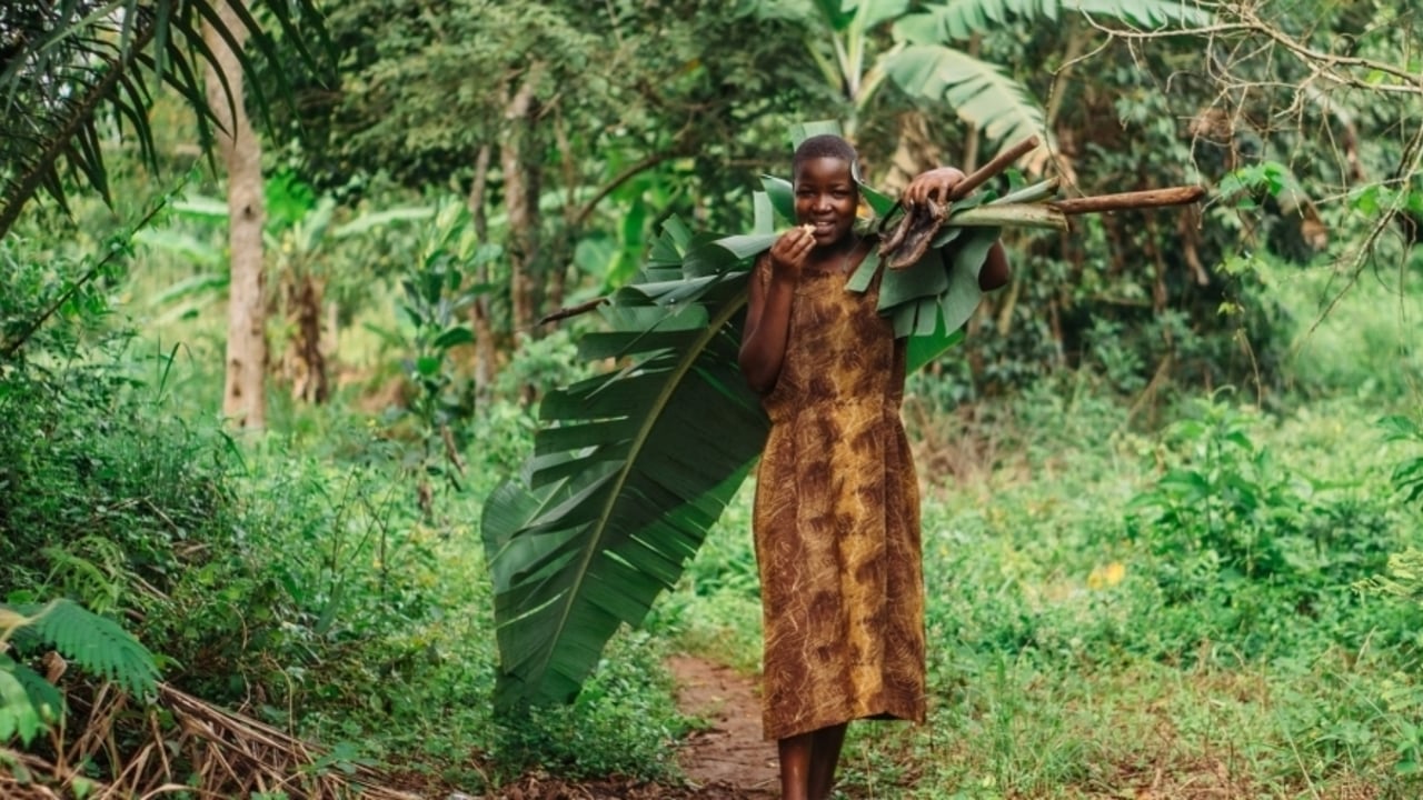 IJM 411 jpg 2018 Rita and Milly Approved for Full Use 2020 11 25 150347 1