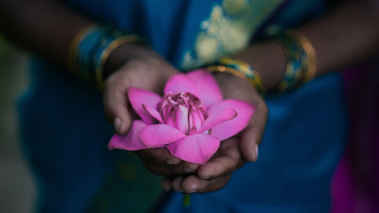 IJM Flower 6 jpg 2017 Fearless Fourteen Approved for Full Use