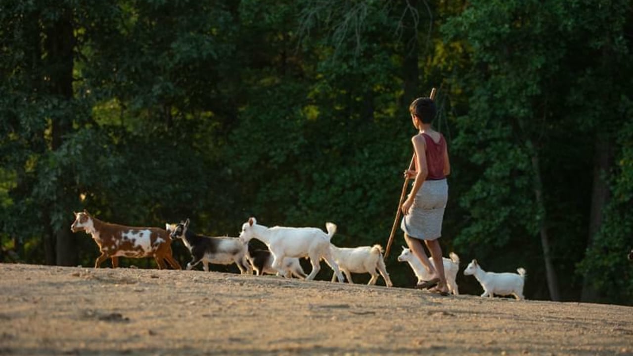 IJM Survivor Campaign2021 1587 jpg 202107 CHE Year End Campaign Stock Images Approved for Full Use