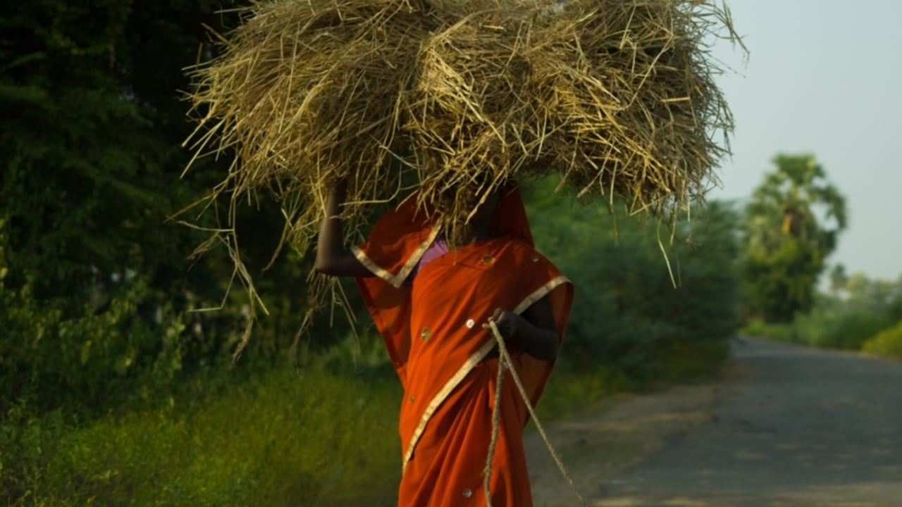 JS 20161110 031454 201611 CHE Landscape Approved for Full Use