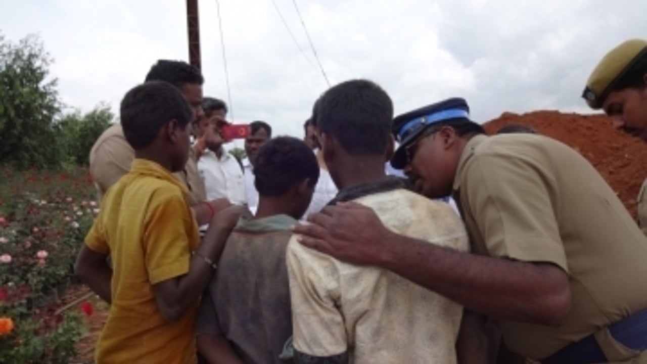 July 2014 rose farm rescue