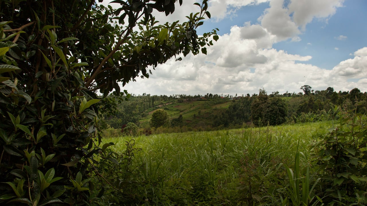 Kenya Breaking News 5 20 21