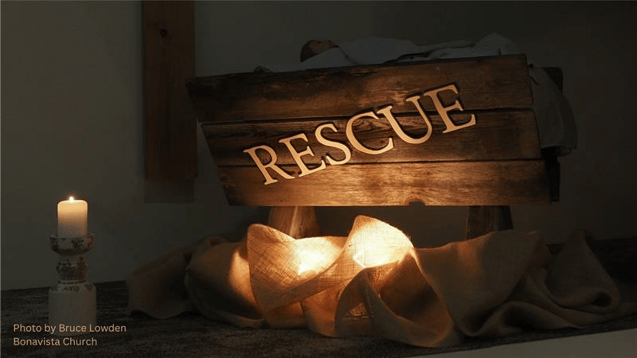 Rescue Manger for Blog