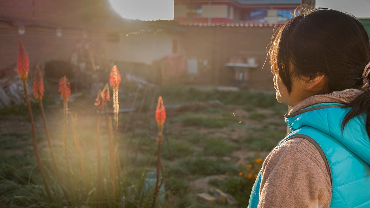 February web veronica bolivia Header Image