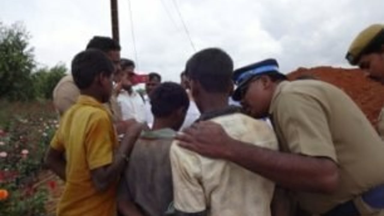 July 2014 rose farm rescue 1