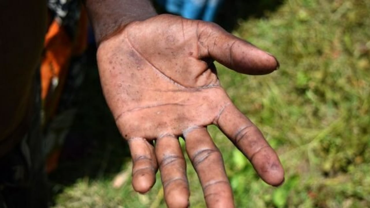 Lumber2 180822 181728