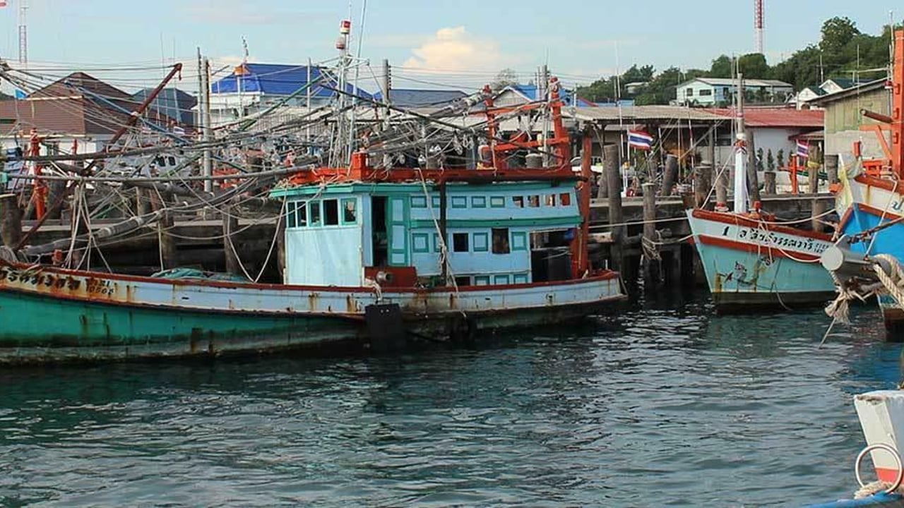 Thai fishing study hero