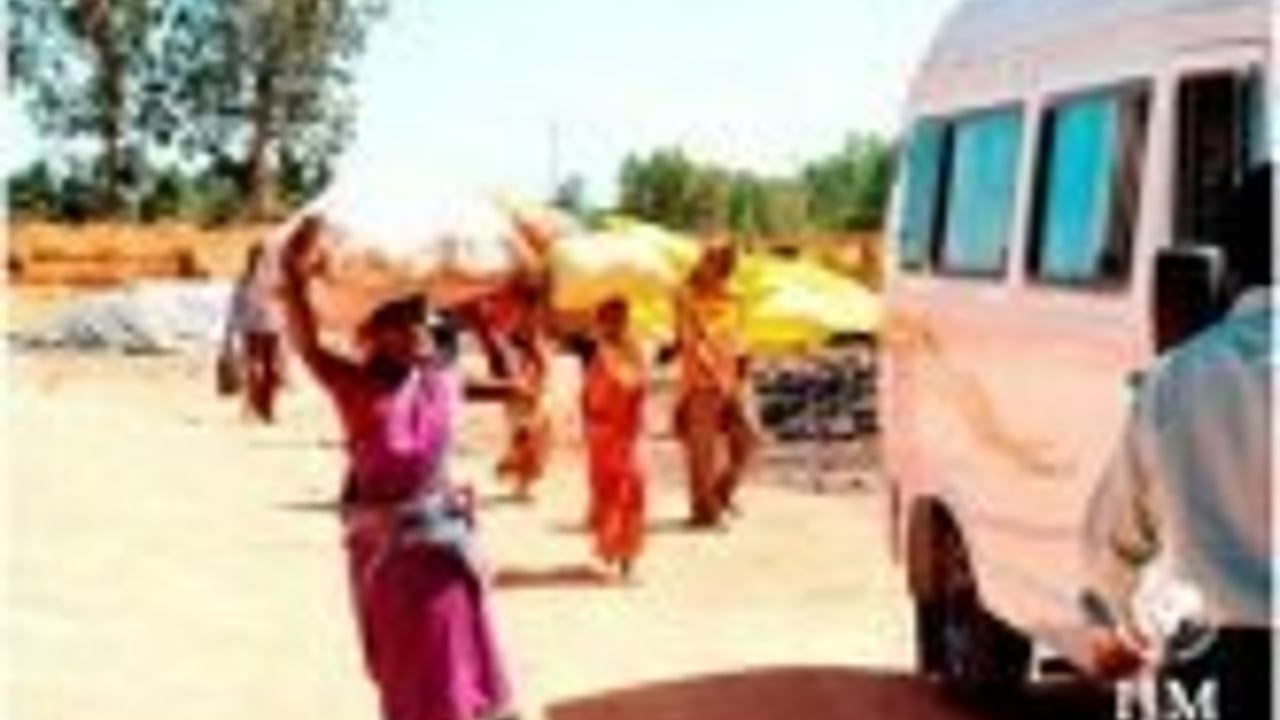 Vatican partner thumb