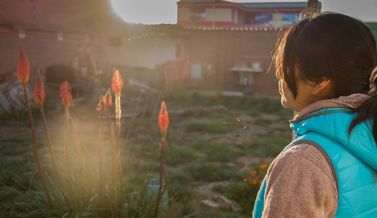 February web veronica bolivia Header Image