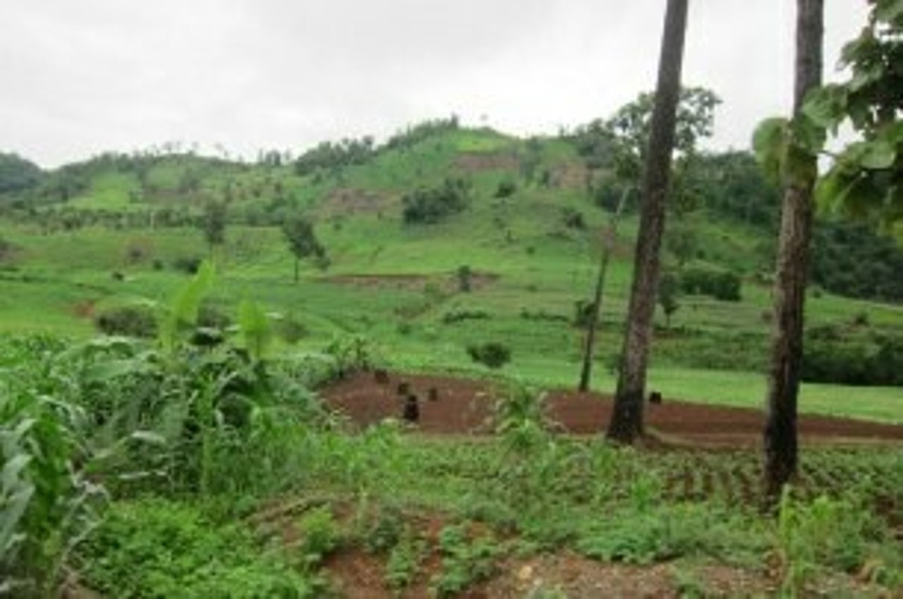 Img 7525 201407chi nongkeawvillagecitizencelebration