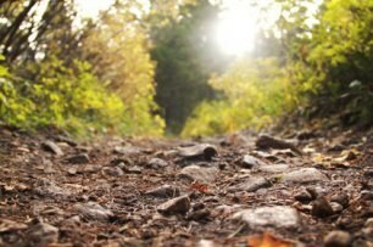 Lightstock 101269 xsmall john 1