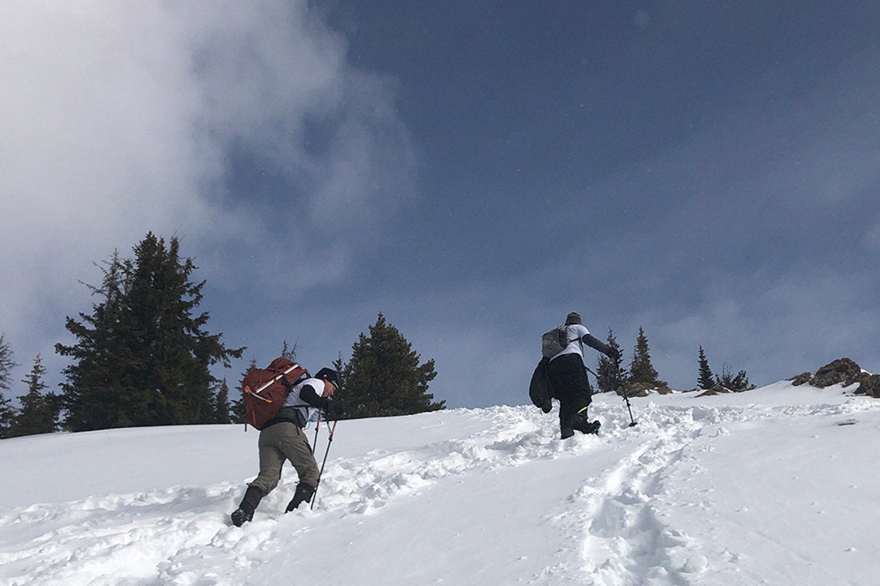 Freedom8848 bn 2021 03 03 111953