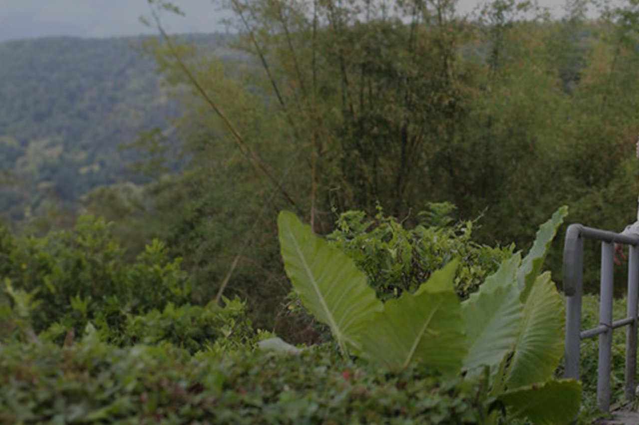 Banner darker 2021 Malone photo 4 JPG 202210 PH 2013 CEB CSX 005 Approved for Full Use 1