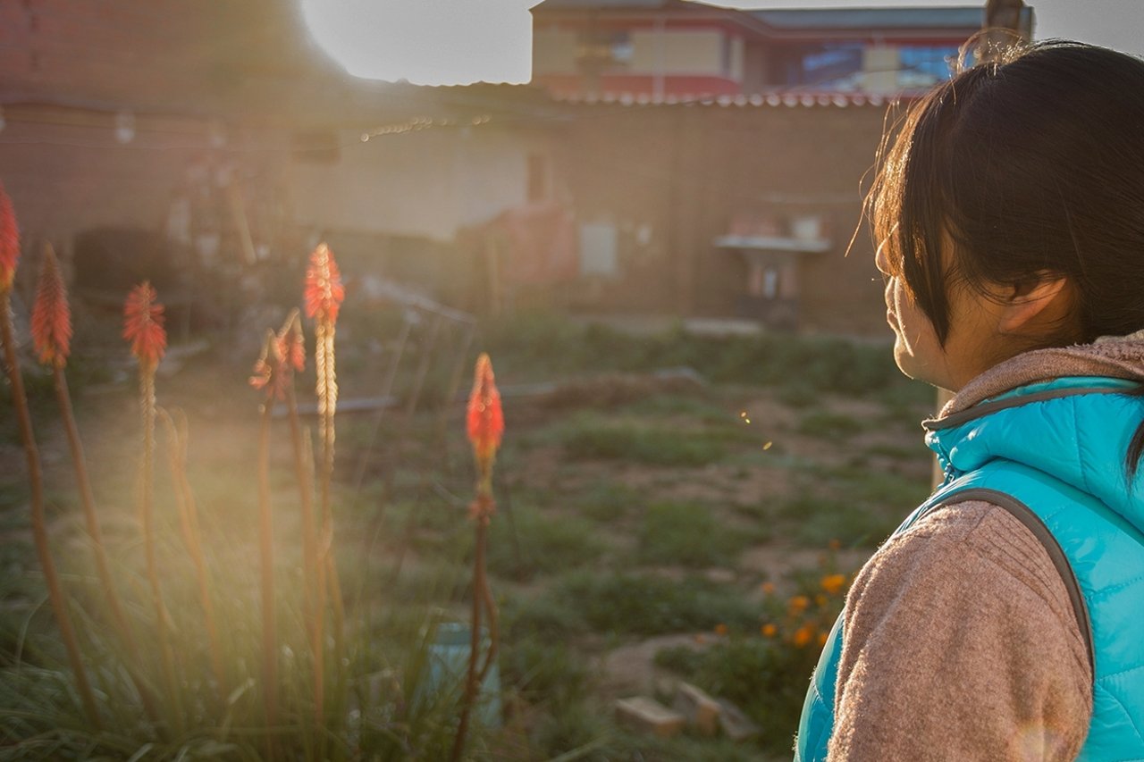 February web veronica bolivia Header Image