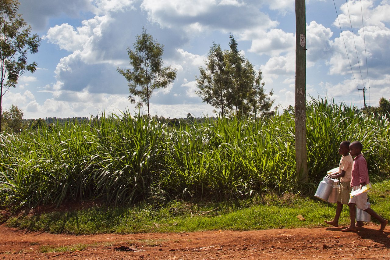 121111 Mama Rahab WEB 035 jpg 201211 NAI Kenya environmental shots Approved for Full Use bn