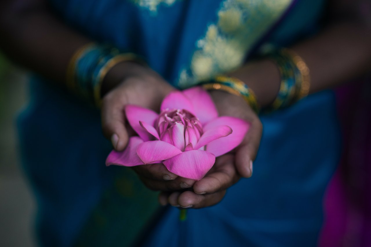 IJM Flower 6 jpg 2017 Fearless Fourteen Approved for Full Use