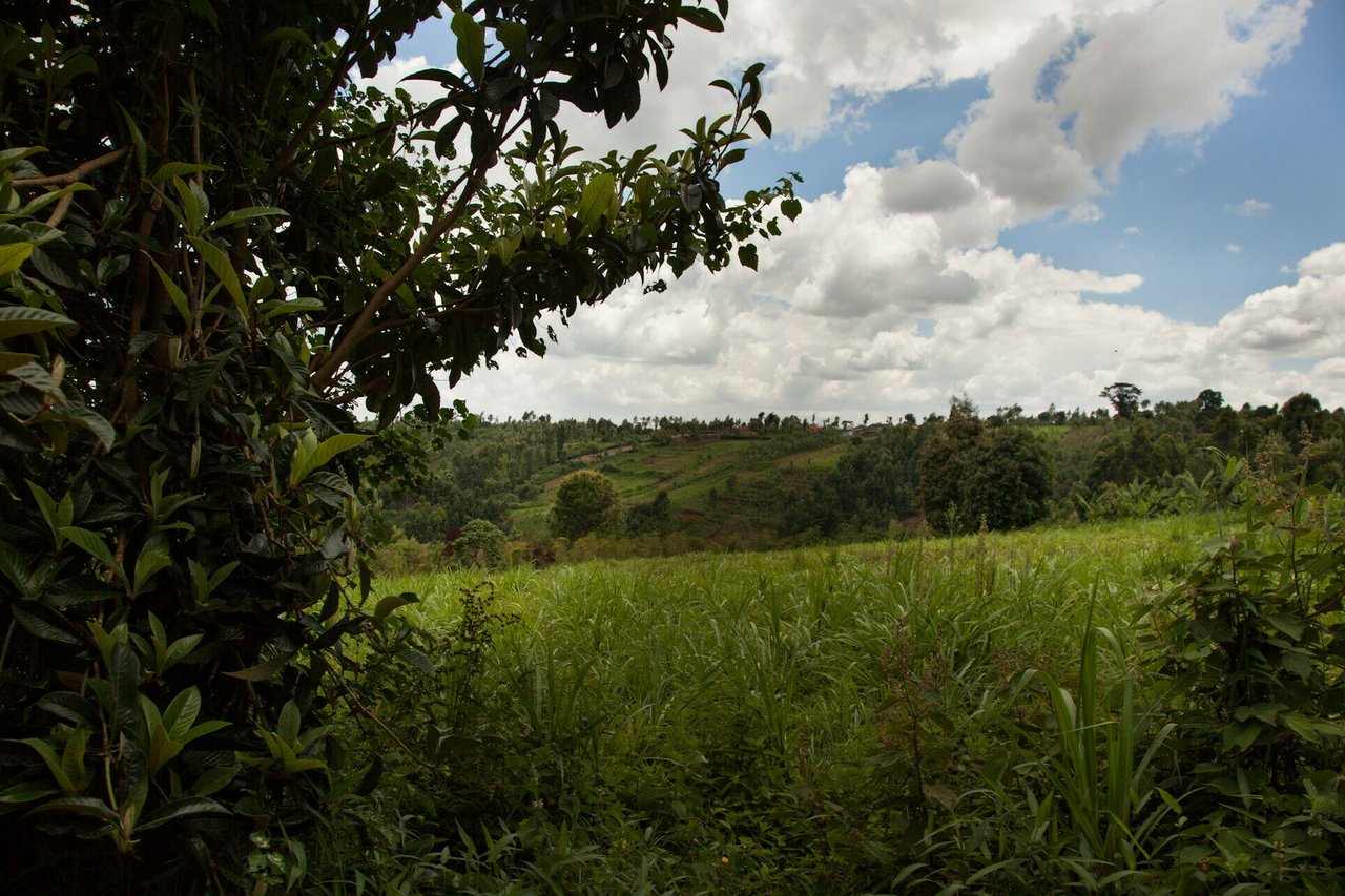 Kenya Breaking News 5 20 21