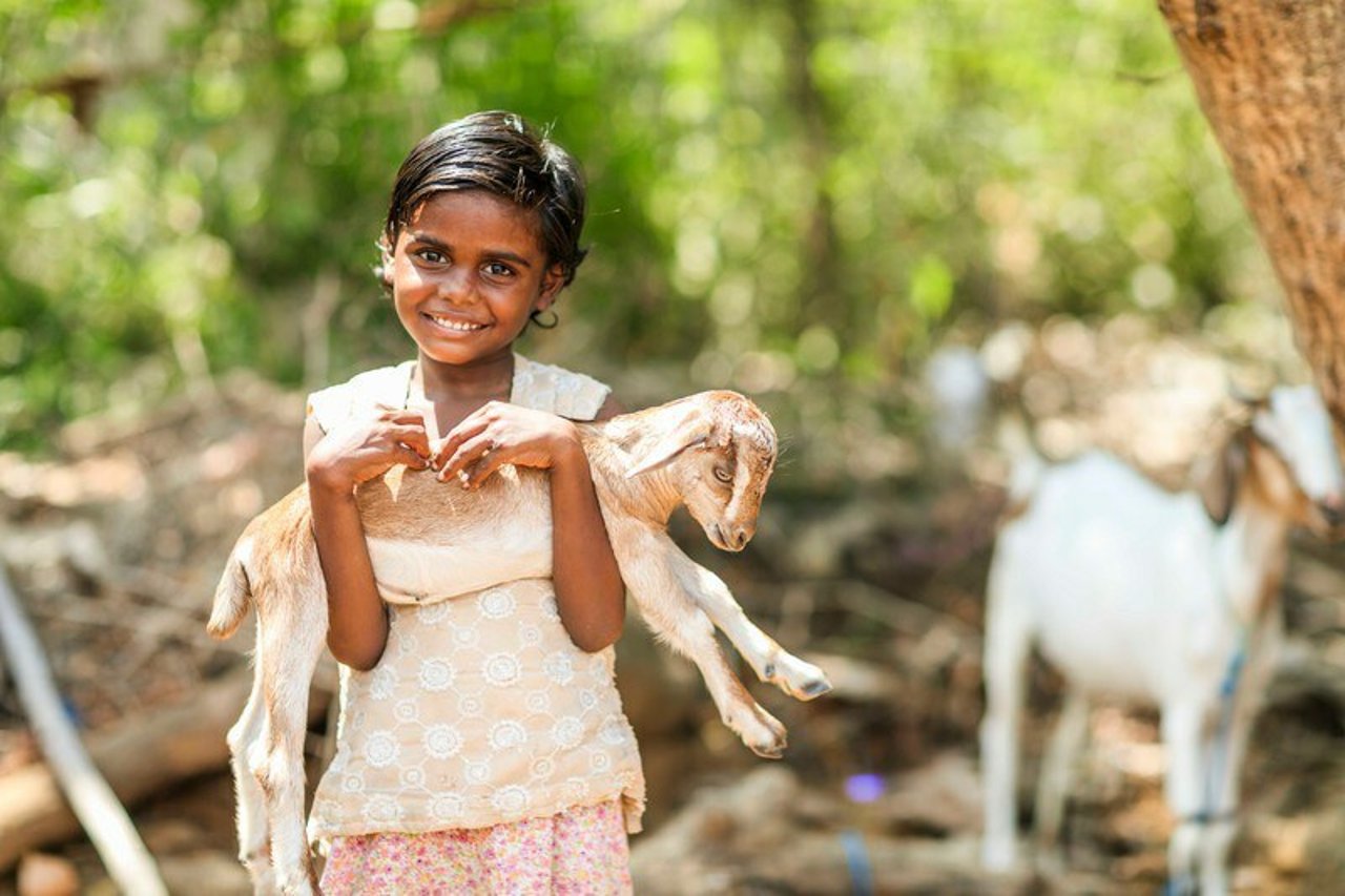 Giftcatalogue girl goat chennai india