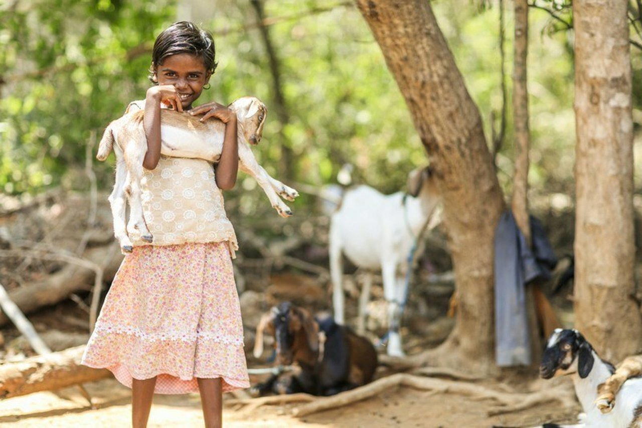 Giftcataloguepressreleaseimage