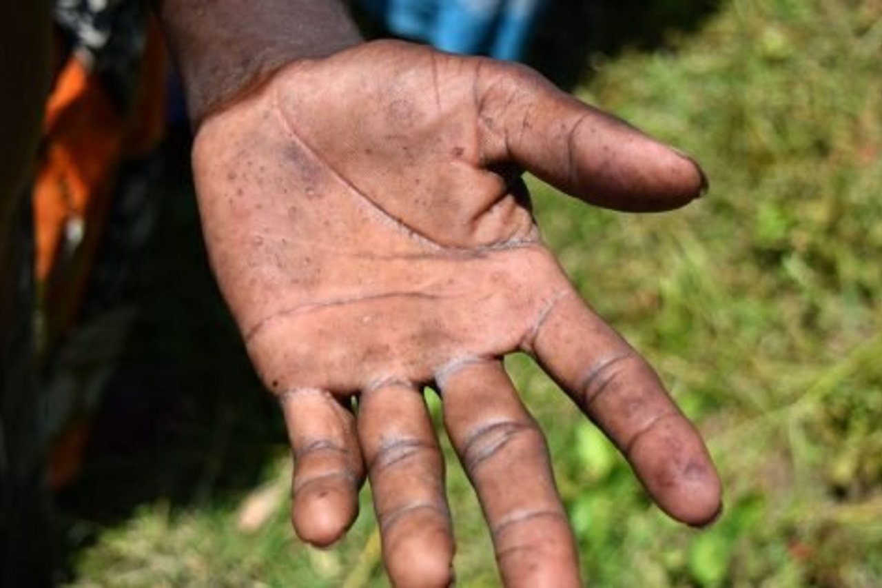 Lumber2 180822 181728