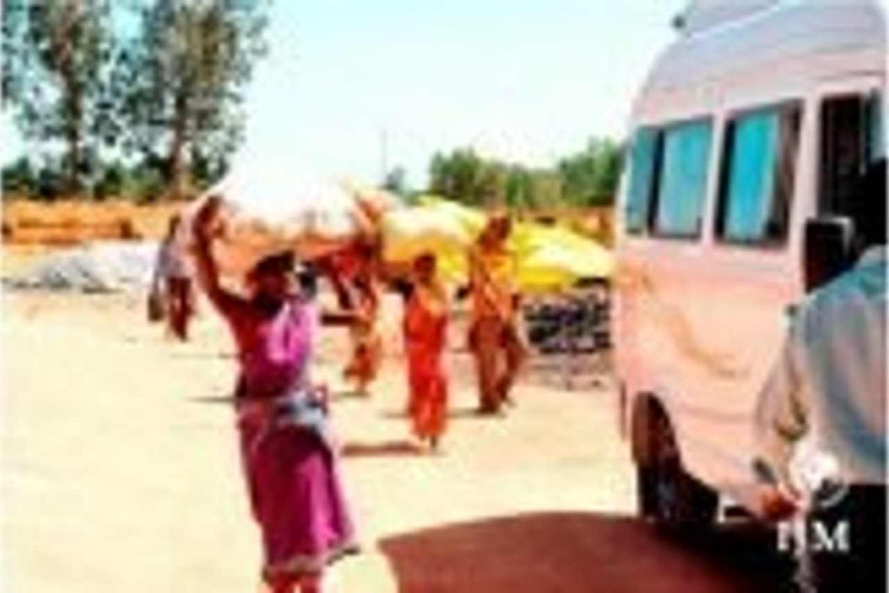 Vatican partner thumb