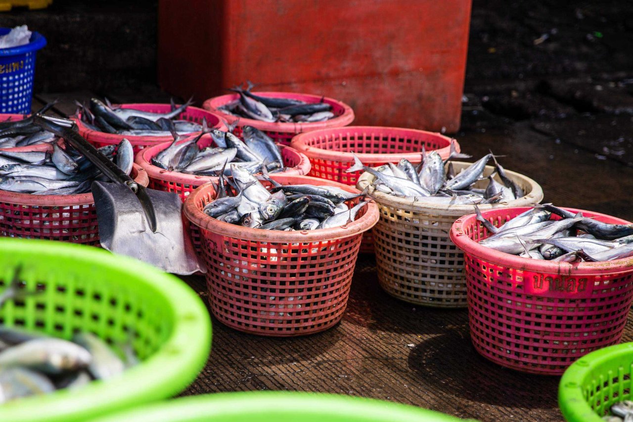 2019 IJM Canada Thai Fishing Boats