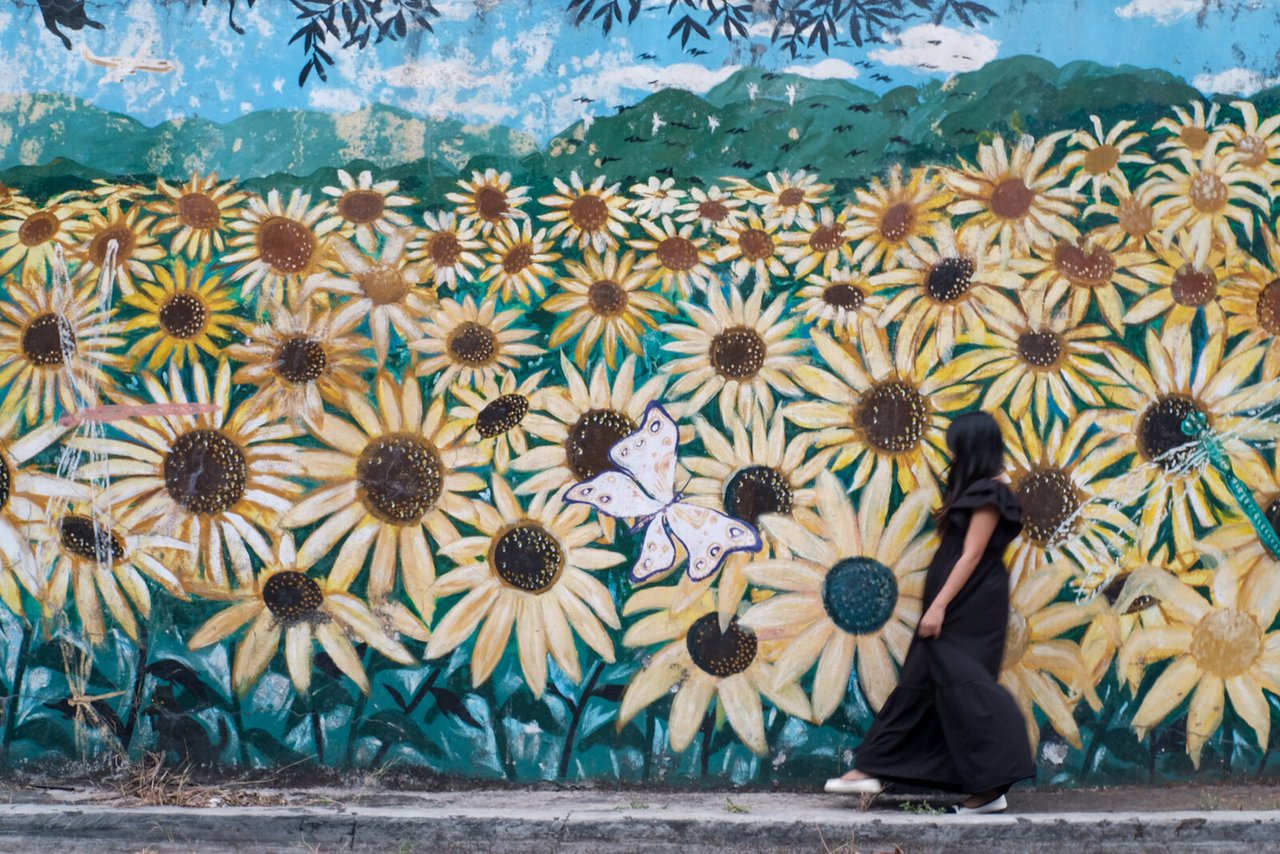 Cassie 2025 0411 Cassie Updates Full Use