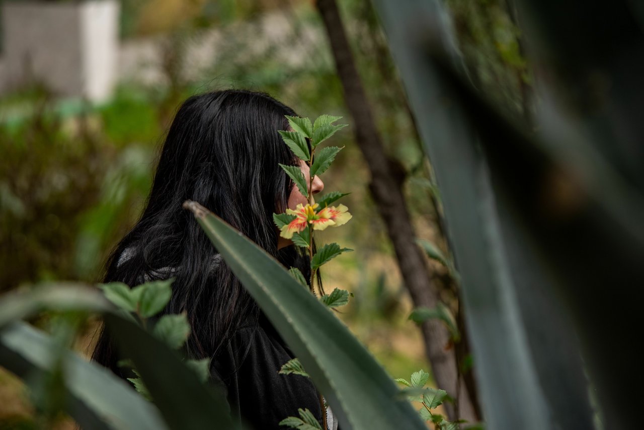 Billie 202404 BO Survivor Billie Approved for Full Use