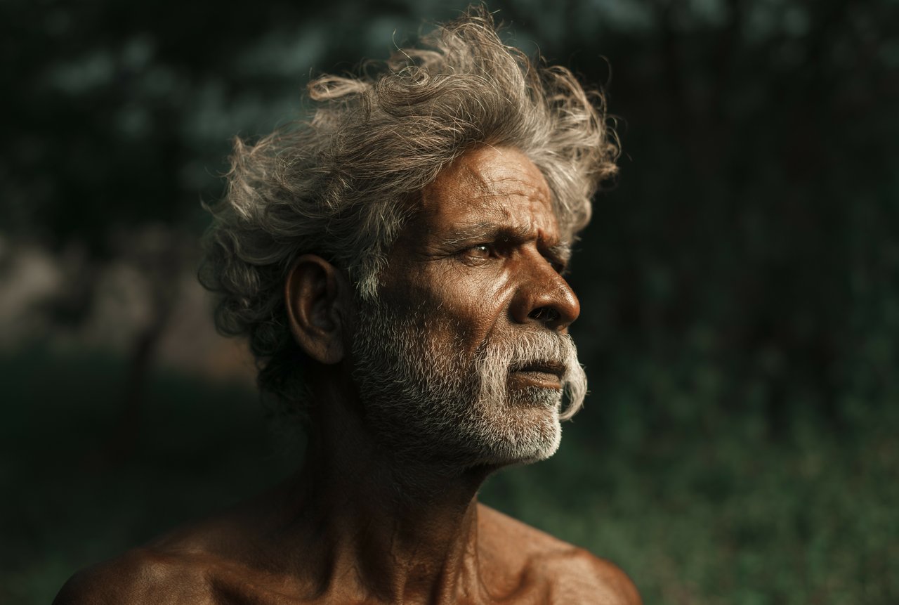 JS 20161110 031208 jpg 201611 Slavery India Wood Cutting Approved for Full Use 2024 01 24 223618 evue